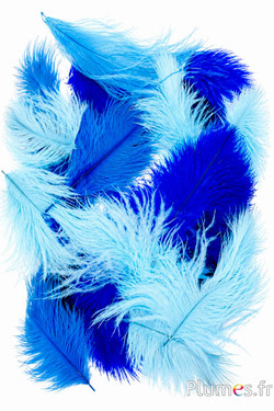 Struzzo Bellies - 5-10 cm - misto blu